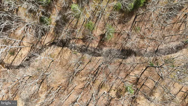 a view of empty room with a tree