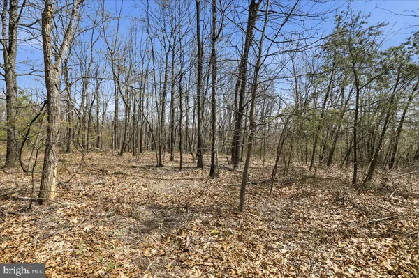 a view of city and mountain