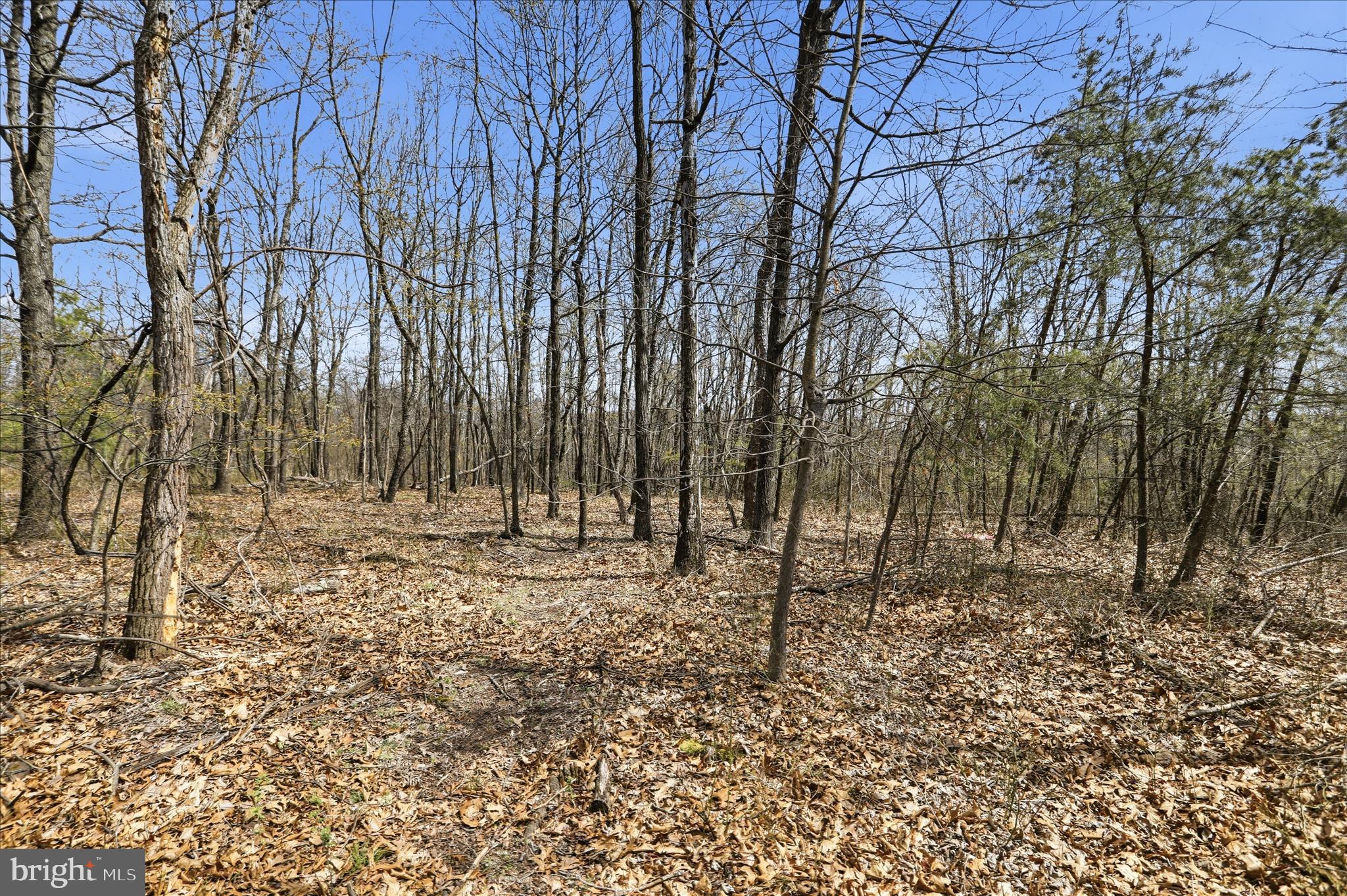 Lot 62-phase Crest Haven Road Romney, WV 26757 - Photo 4 of 15 a backyard of a house with lots of green space