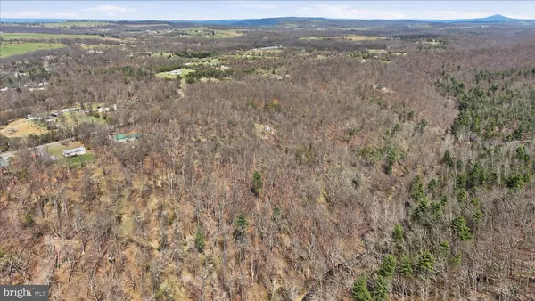 a view of a field with trees in the background