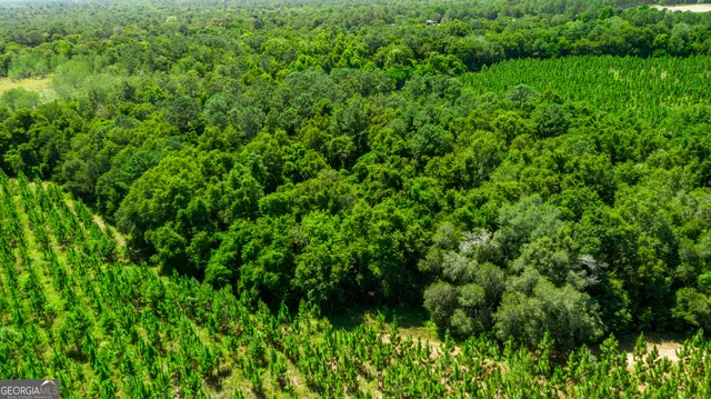 a view of an outdoor space and a yard
