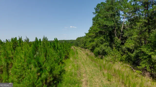 an aerial view of a forest with houses