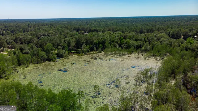 a view of a dry yard with lots of green space