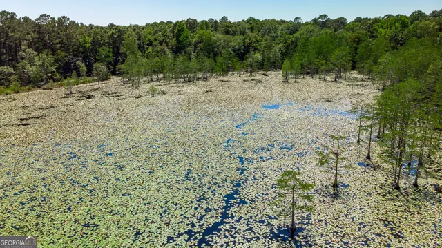 a view of a yard with a tree