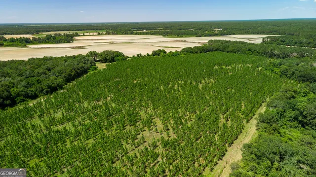 a view of an ocean and beach