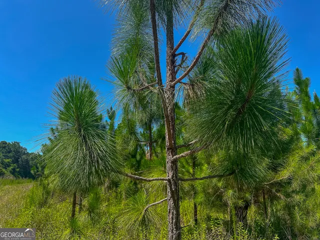 a view of an ocean and trees