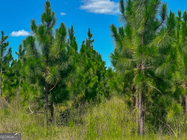 a view of a lake with houses in the background