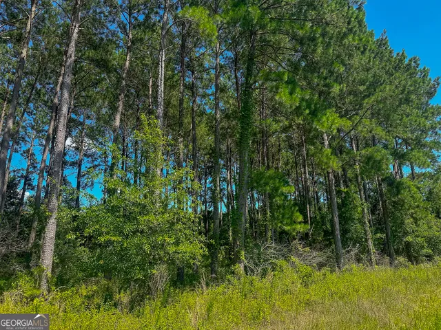 $732,500 | 0 Graves Springs Road, Leesburg, GA 31763