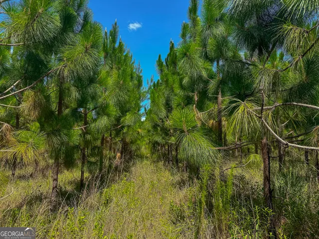 $732,500 | 0 Graves Springs Road, Leesburg, GA 31763