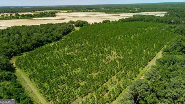 a view of a green field with an outdoor space