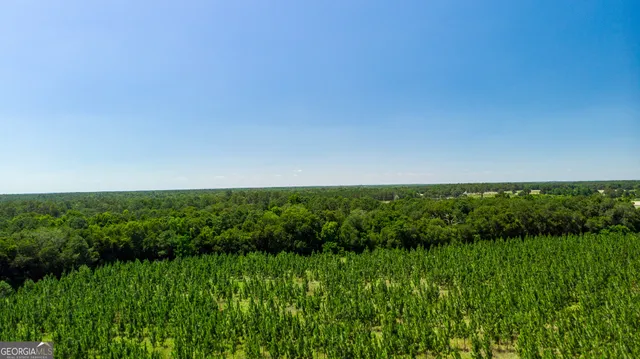 a view of yard with grass