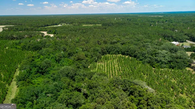 a view of a green yard