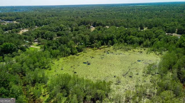 a view of a lush green forest with lots of trees