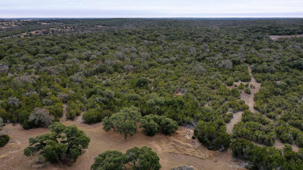 180 Bee Hive Road Hunt, TX 78024 - Photo 37 of 61