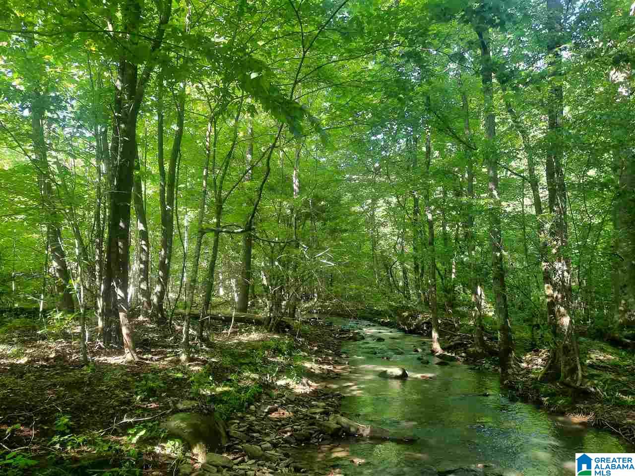 0 Mountain Gap Road, Unit 33 Blountsville, AL 35031 - Photo 4 of 4