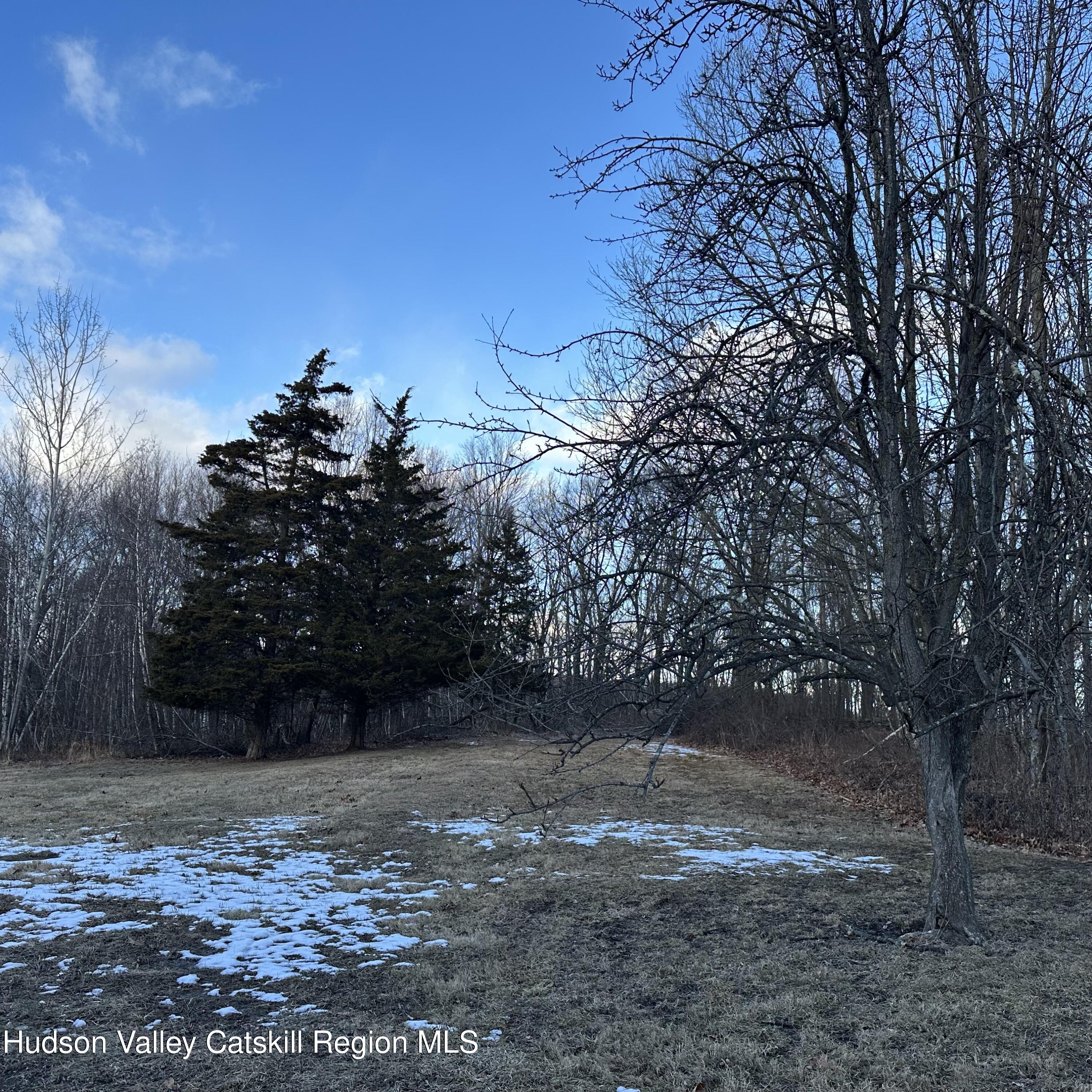 8 Marie Road Highland, NY 12528 - Photo 14 of 14 IMG_5955
