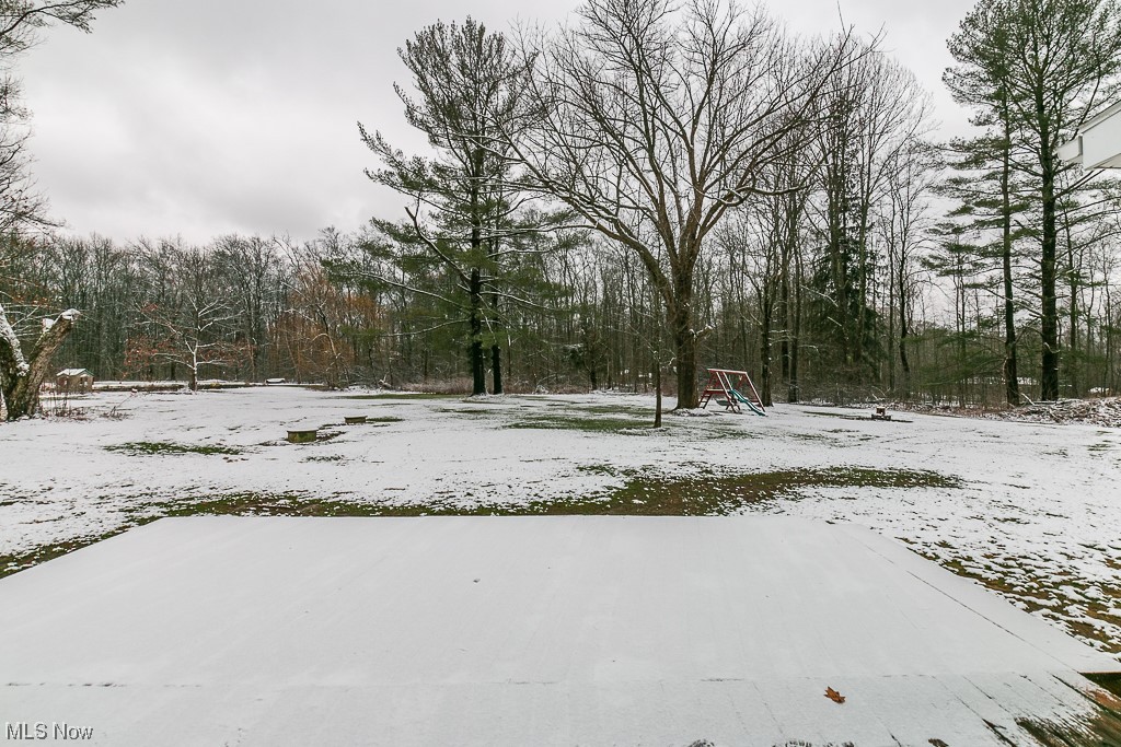 13619 Hall Road Chardon, OH 44024 - Photo 13 of 36 View of yard covered in snow
