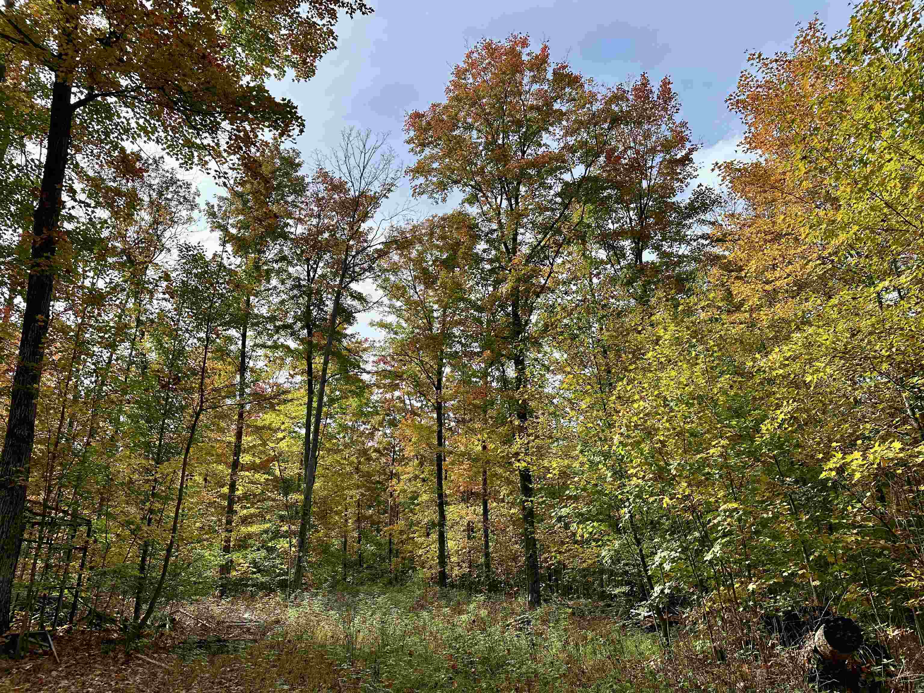 1306 South Weldon Road Beulah, MI 49617 - Photo 17 of 28
