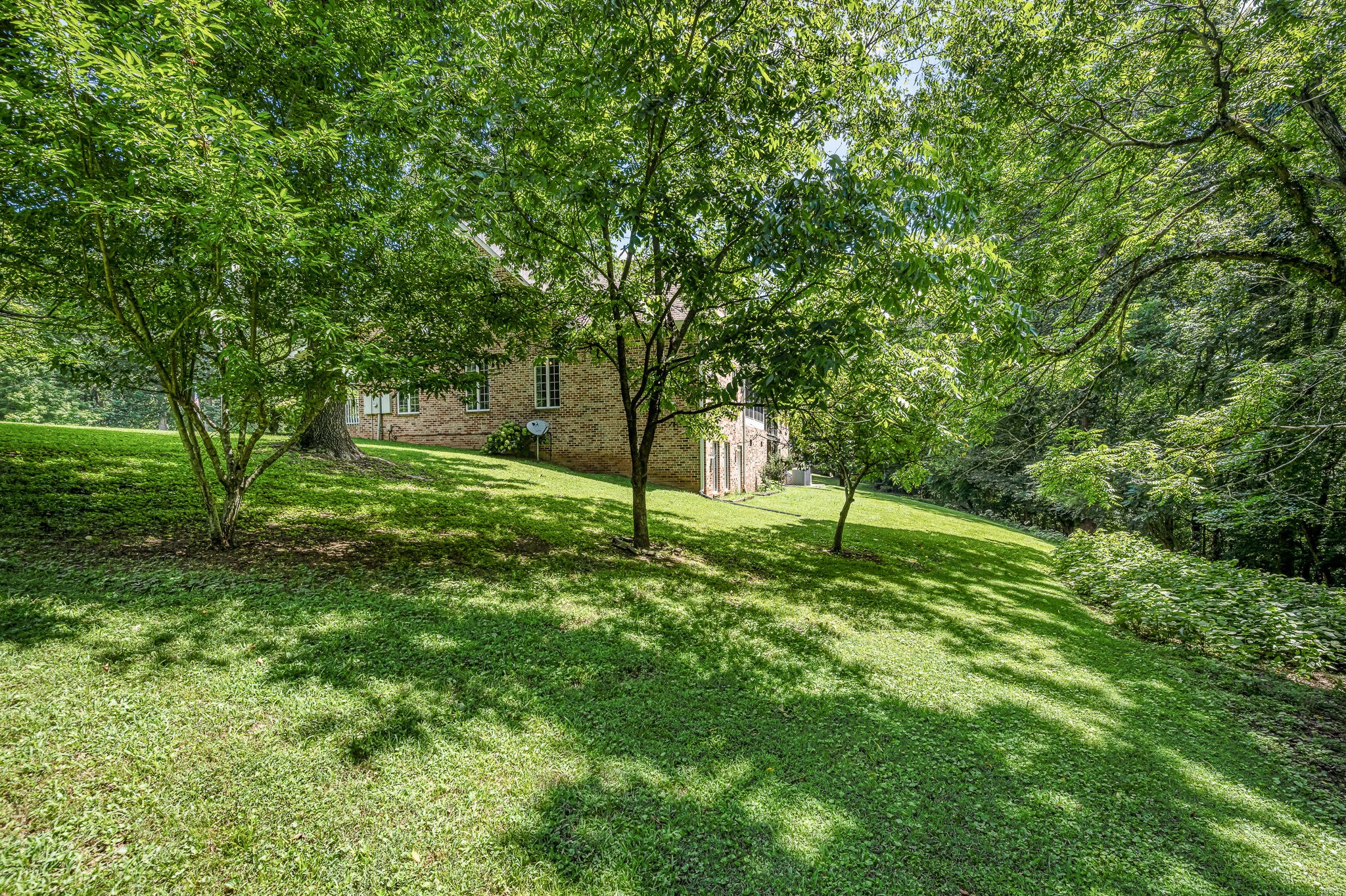 255 Parks Drive Normandy, TN 37360 - Photo 60 of 82 a view of a backyard with a plants and large trees