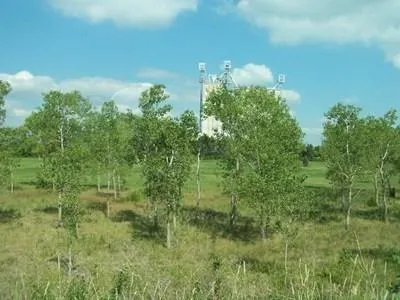 $276,000 | 1610 Road S Nevada Mo 64772, Nevada, MO 64772