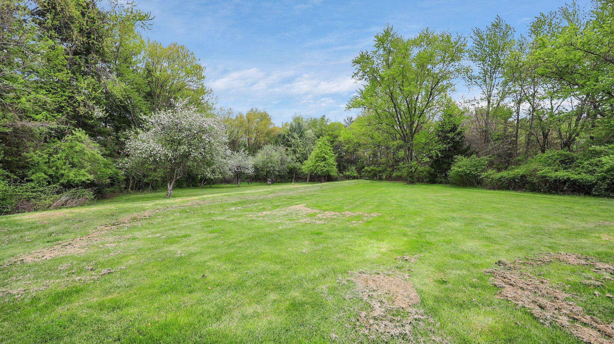 7790 Schott Road Westerville, OH 43081 - Photo 46 of 50 View from backyard corner staring back at the home. Room to play!