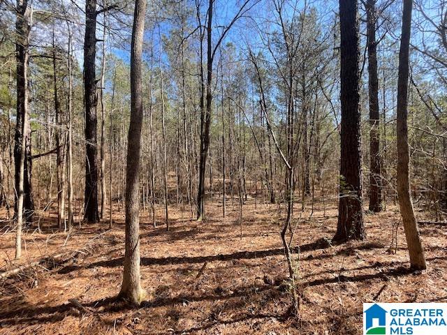 140 County Road, Unit 27± AC Wadley, AL 36276 - Photo 6 of 8