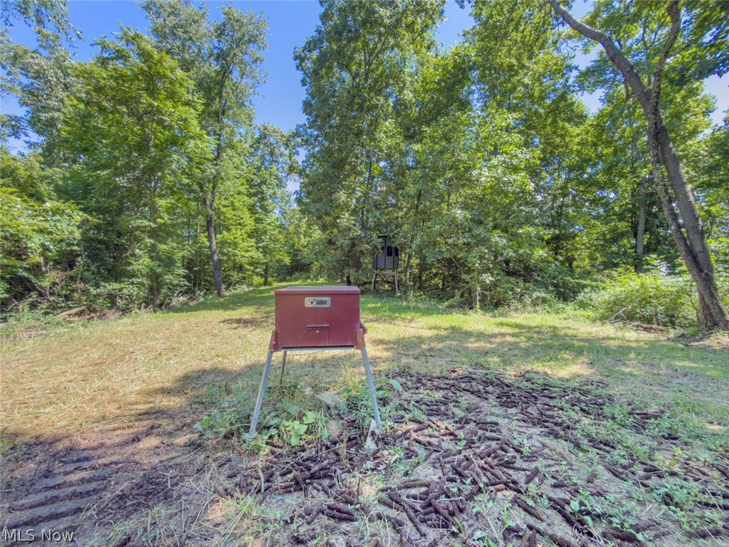 6985 Brush Run Road Cambridge, OH 43725 - Photo 33 of 50
