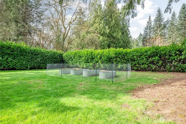a view of a swimming pool with a yard