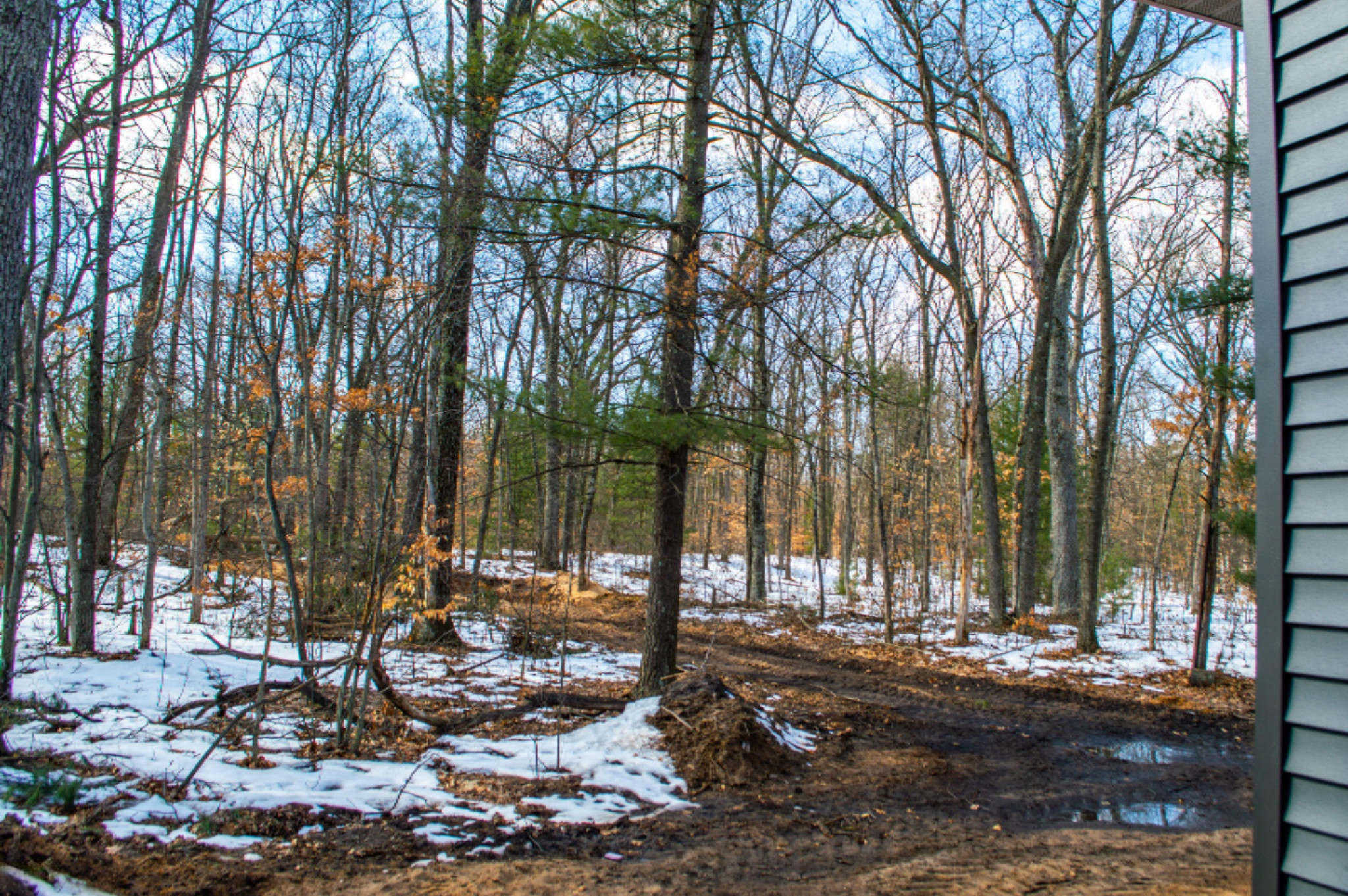 6211 Automobile Road Twin Lake, MI 49457 - Photo 6 of 12 Backyard