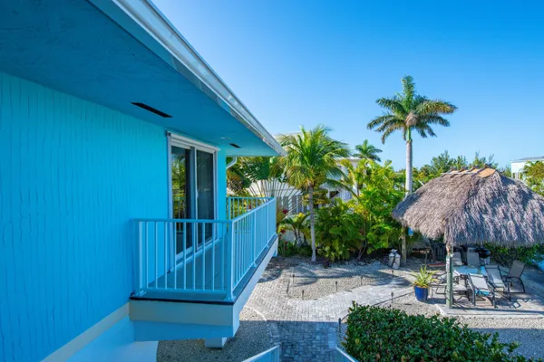 a view of a backyard with potted plants and palm trees