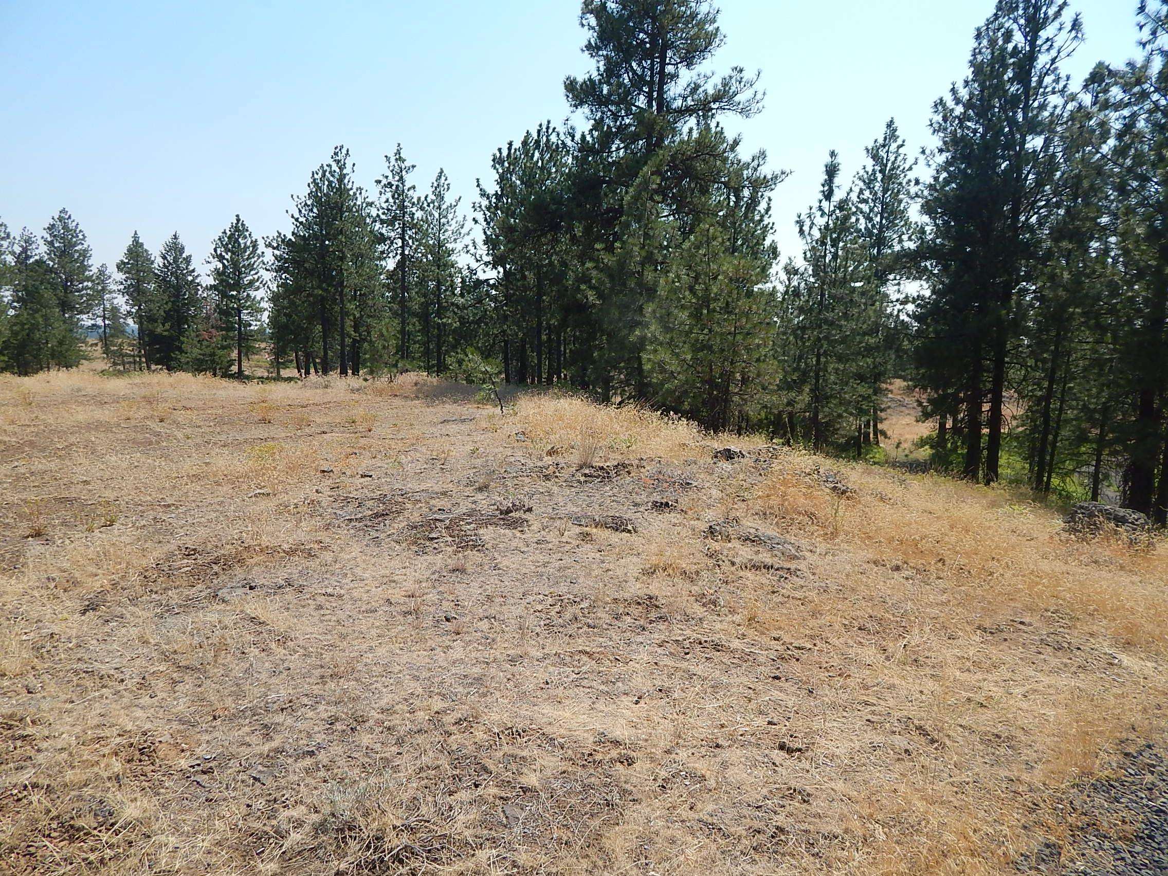 249014 West Kitt Road Reardan, WA 99029 - Photo 2 of 23