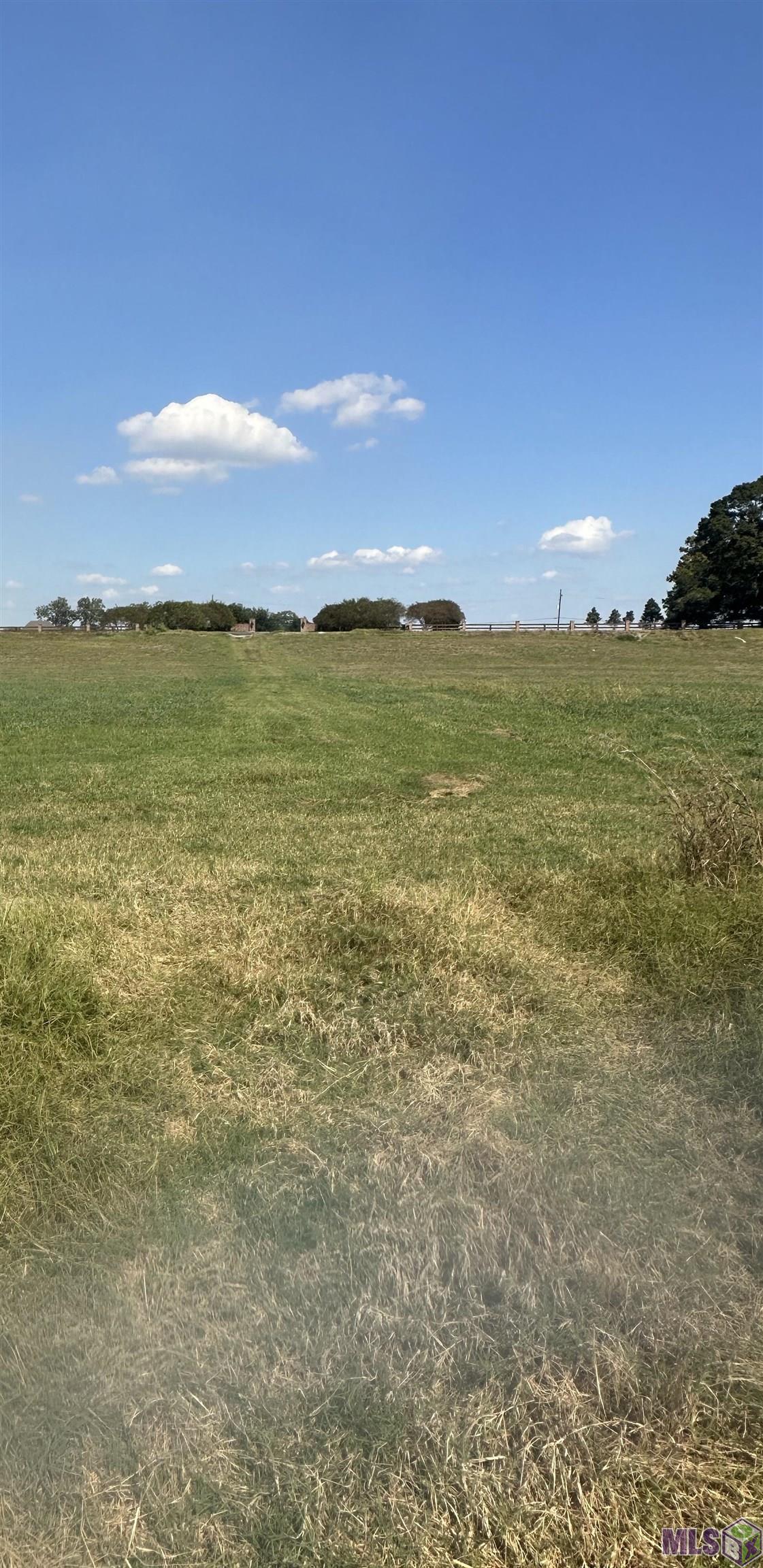 B-3 Island Road Jarreau, LA 70749 - Photo 2 of 4