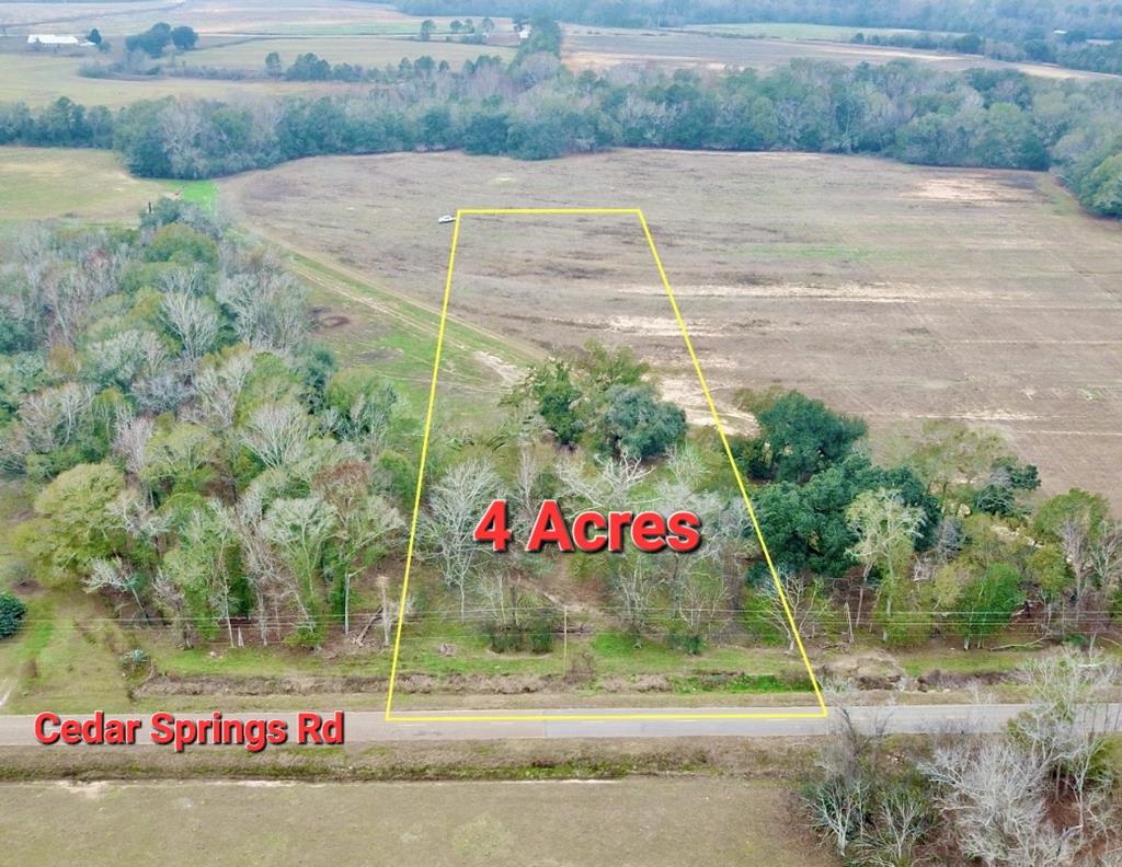 3161 Cedar Springs Road Ashford, AL 36312 - Photo 15 of 16