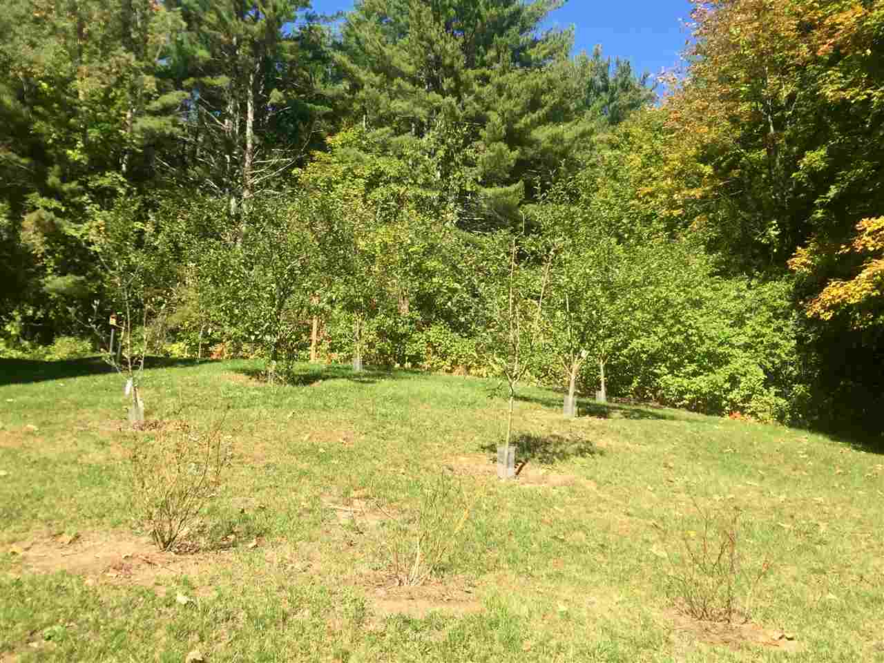 84 North Road Fremont, NH 03044 - Photo 27 of 40