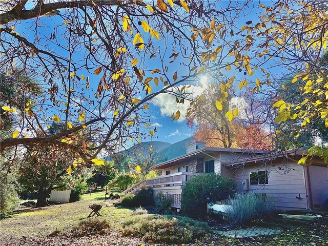 a front view of a house with a yard and tree