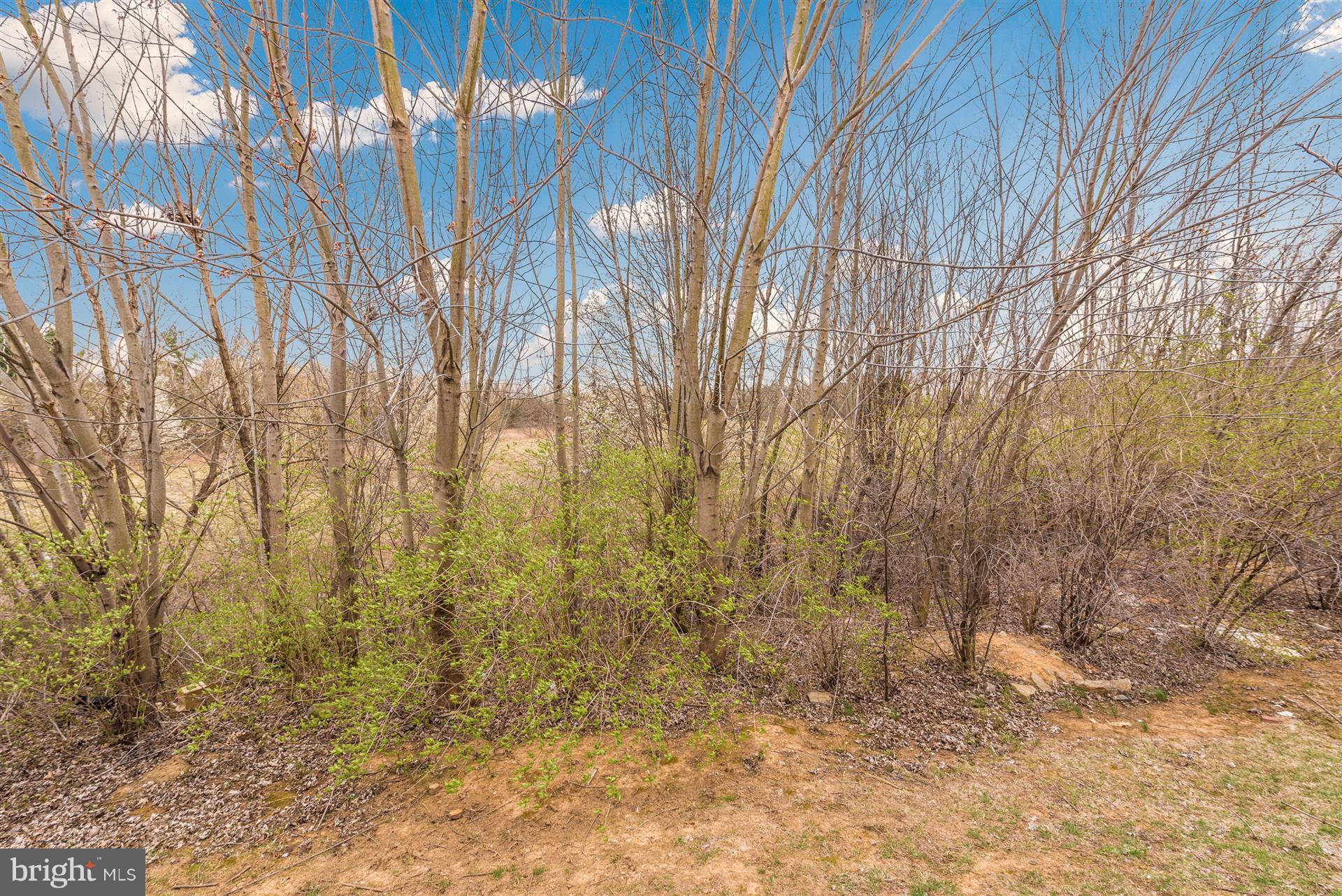 645 Tivoli Road Frederick, MD 21703 - Photo 20 of 21