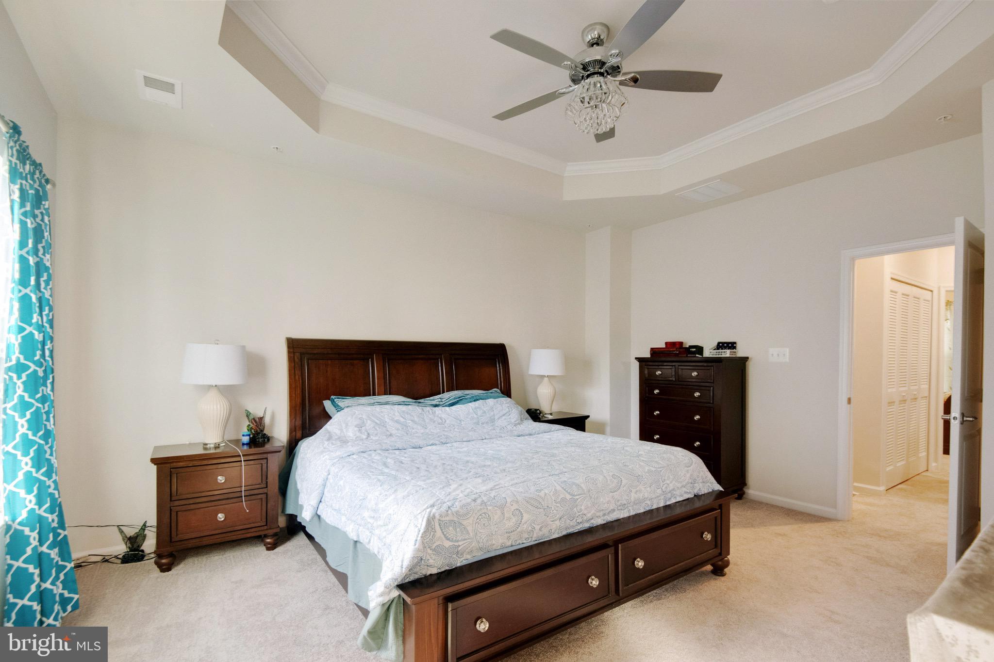 7807 North Seneca Ridge Lane Hanover, MD 21076 - Photo 20 of 32 Primary Bedroom w/ Tray Ceiling