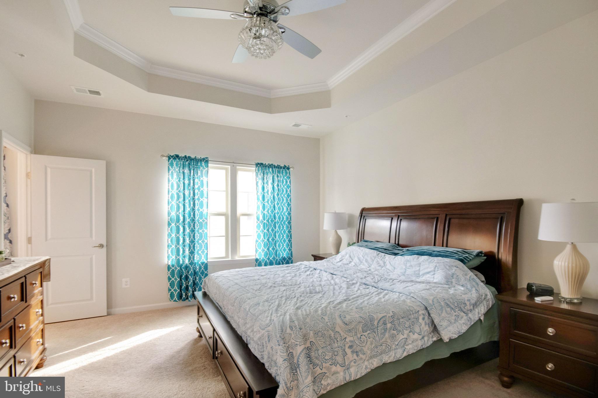 7807 North Seneca Ridge Lane Hanover, MD 21076 - Photo 6 of 32 Spacious Primary Bedroom