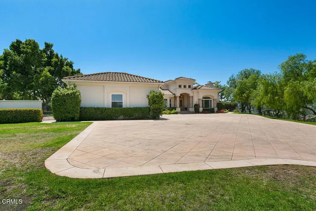a living room with furniture potted plant and a fireplace