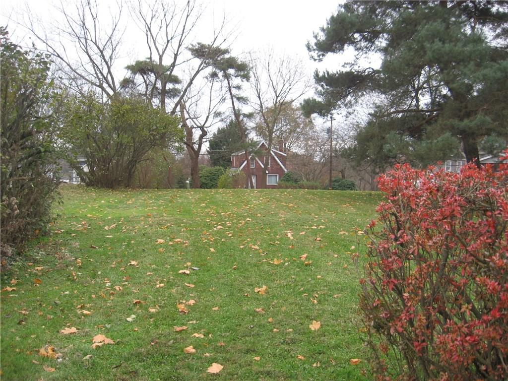 135 Freeport Road Butler, PA 16002 - Photo 8 of 18 Side yard