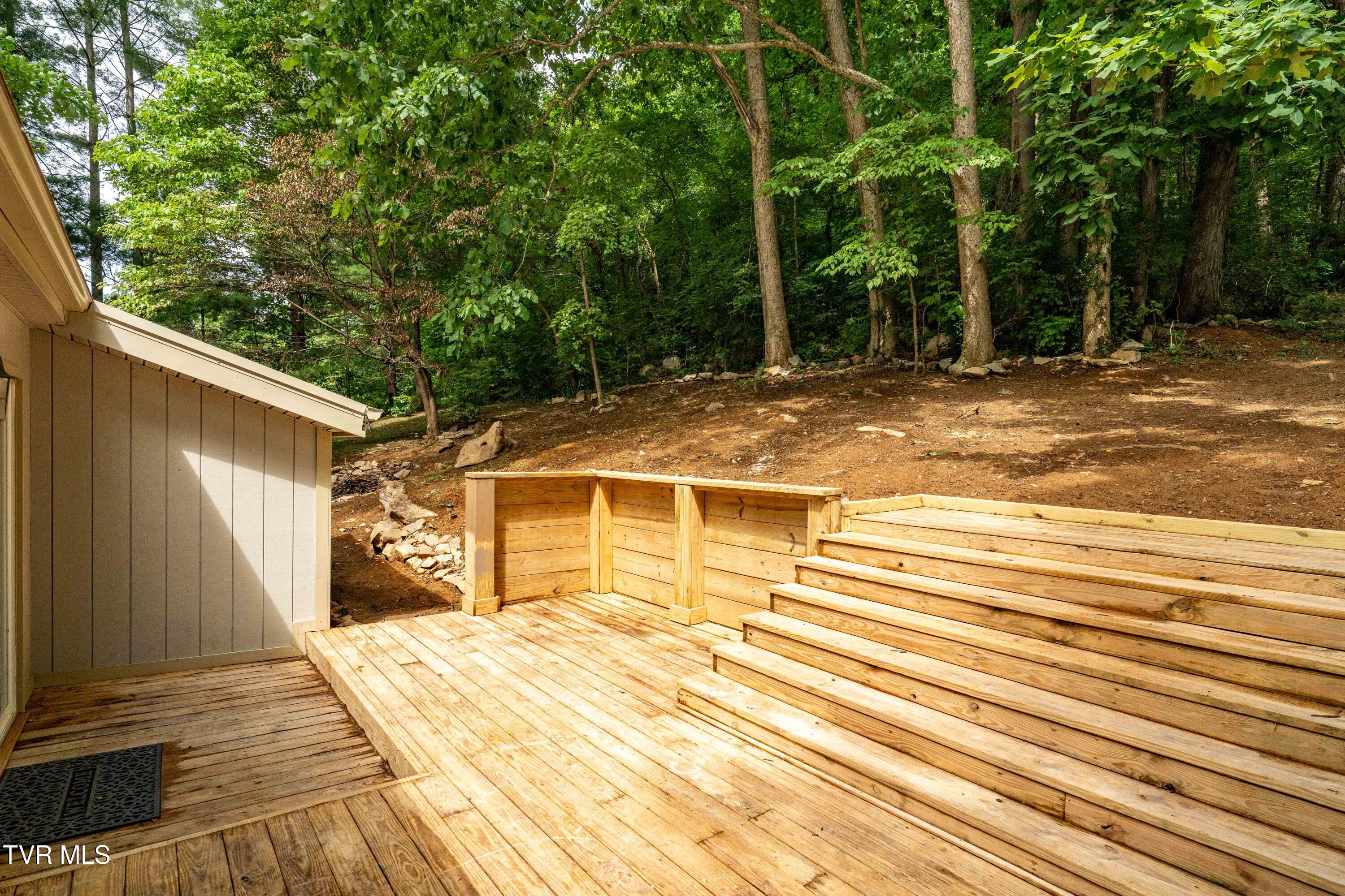 1113 Berry Road Elizabethton, TN 37643 - Photo 82 of 88 1113 Berry Rd (50 of 89)