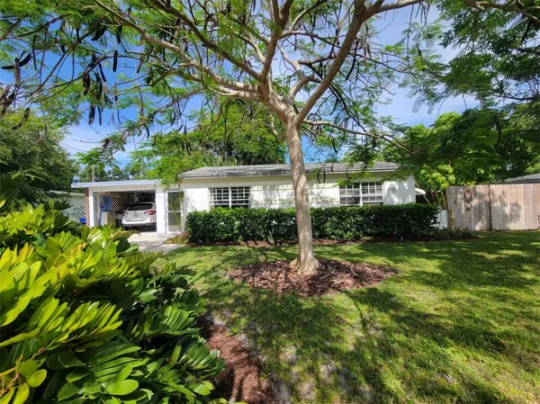 a view of a house with a tree in a yard