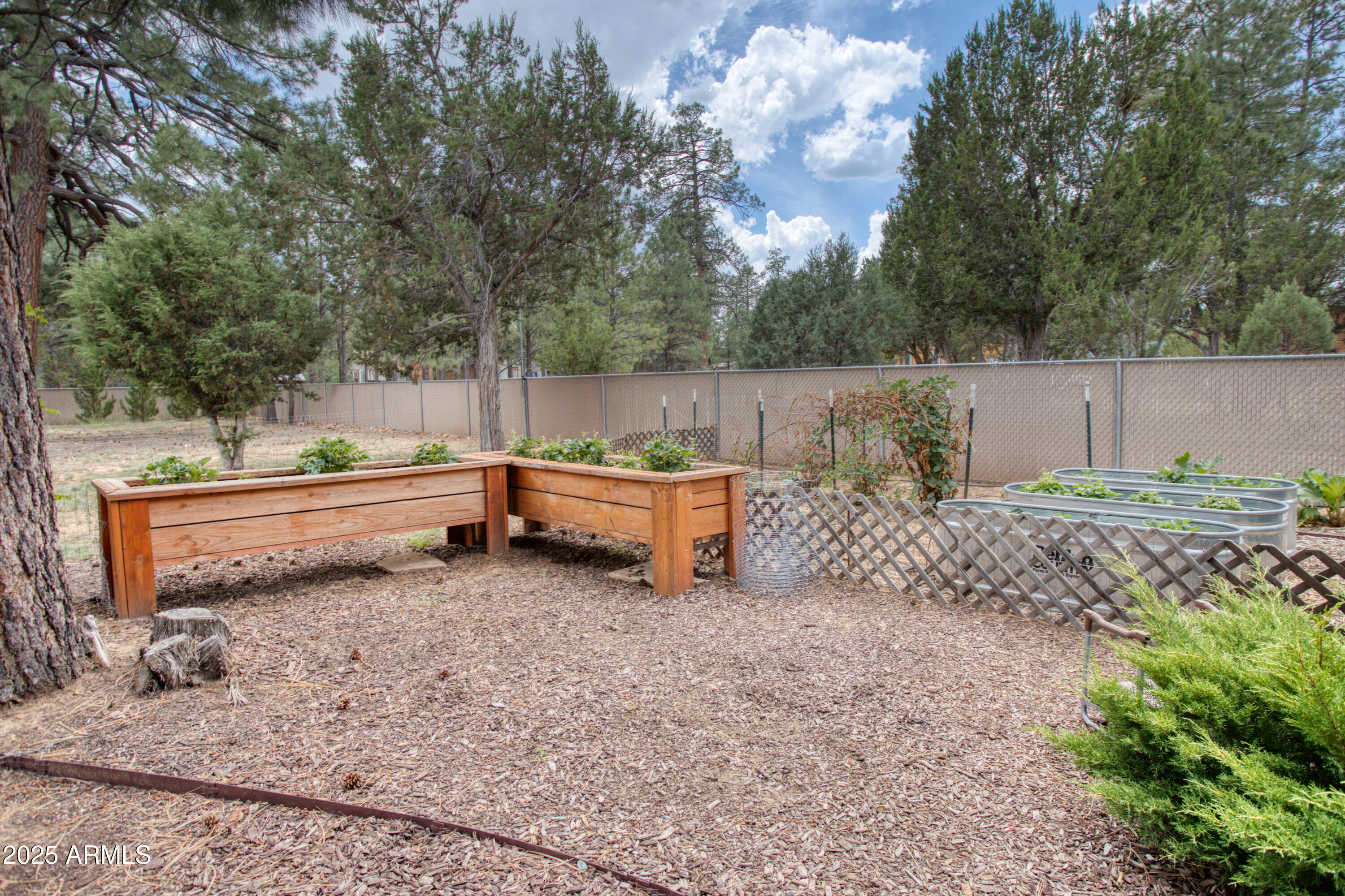 2050 Christmas Pine Road Overgaard, AZ 85933 - Photo 29 of 31 a backyard of a house with table and chairs