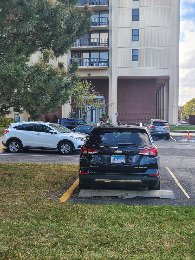 2901 South Michigan Avenue, Unit 908 Chicago, IL 60616 - Photo 2 of 22 a front view of a house with a garden and car parked