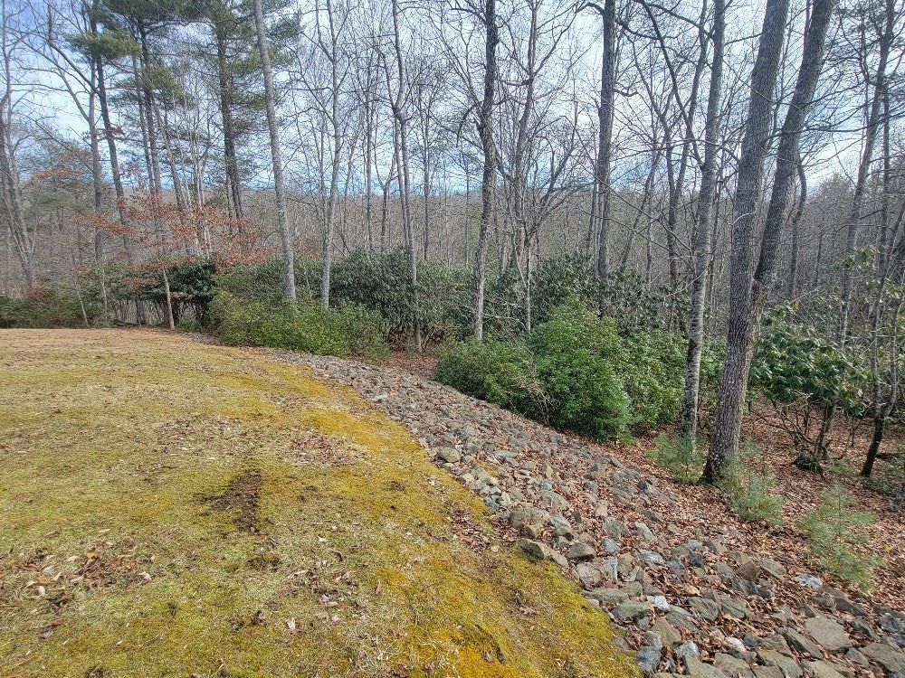 113 Ridge Line Trail Independence, VA 24348 - Photo 55 of 57 Gallery Image 55