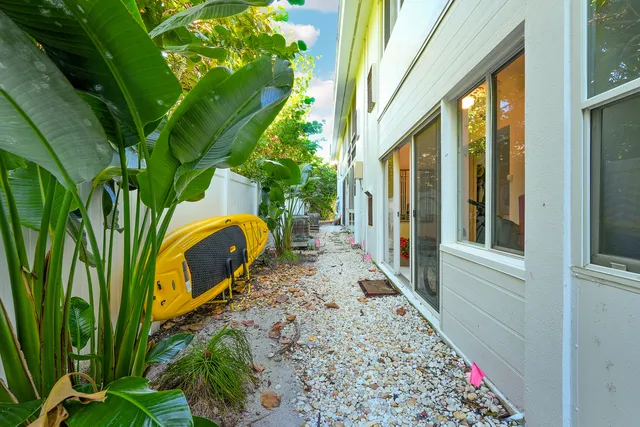 a view of a backyard with plants