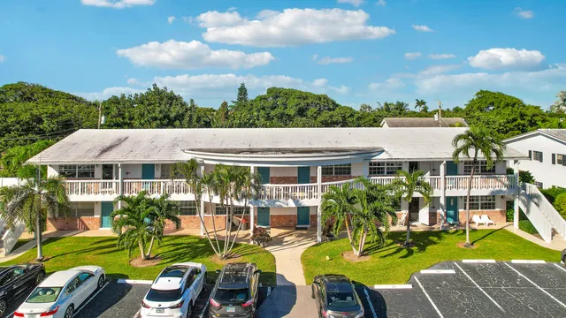 a view of a patio with table and chairs potted plants and a palm tree