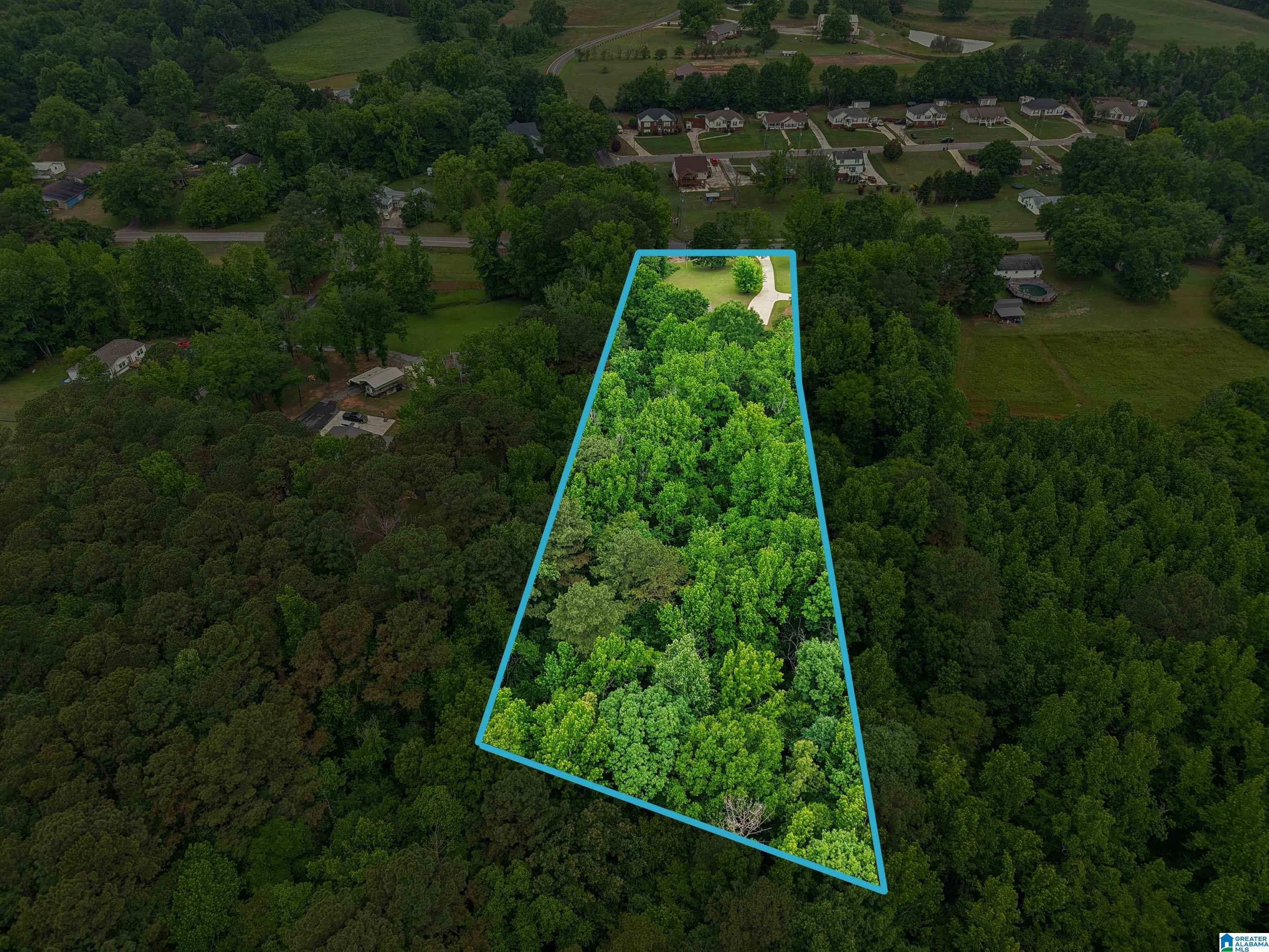 4780 Warrior Jasper Road Dora, AL 35062 - Photo 13 of 43