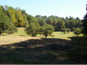 720 Stickney Brook Road Dummerston, VT 05301 - Photo 11 of 12