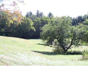 720 Stickney Brook Road Dummerston, VT 05301 - Photo 10 of 12